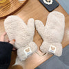 2-teilige flauschige teddy-fleece-handschuhe - warm und gemütlich für damen